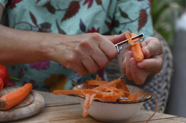 Fresh carrots are peeled, Bavaria, Germany