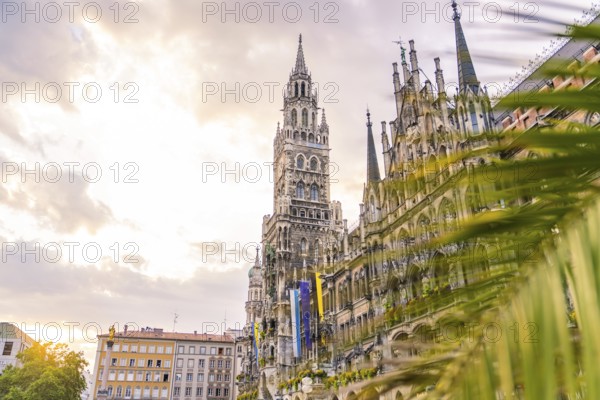 Gothic New Town Hall surrounded by sunset light and palm trees, Munich, Germany