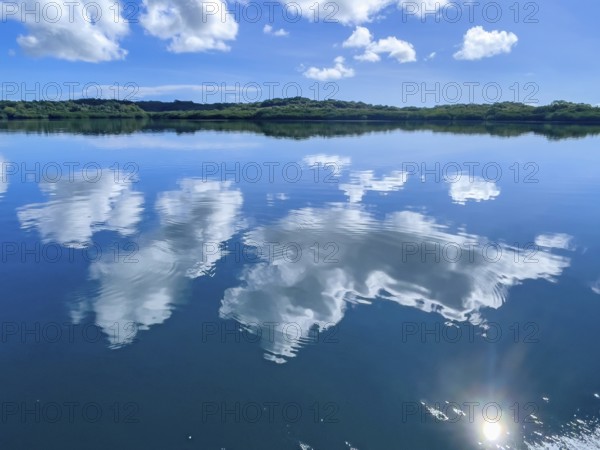 White clouds cumulus reflected in water surface of tropical lagoon of Yap Island in Pacific Ocean, shore with mangroves in background, Pacific Ocean, Yap Island, Yap State, Caroline Islands, FSM, Federated States of Micronesia, Australia, Oceania