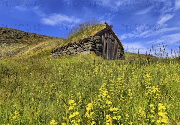 Grass-covered house in the landscape at Gudrúnarlaug, Búardalur, West Iceland, Iceland