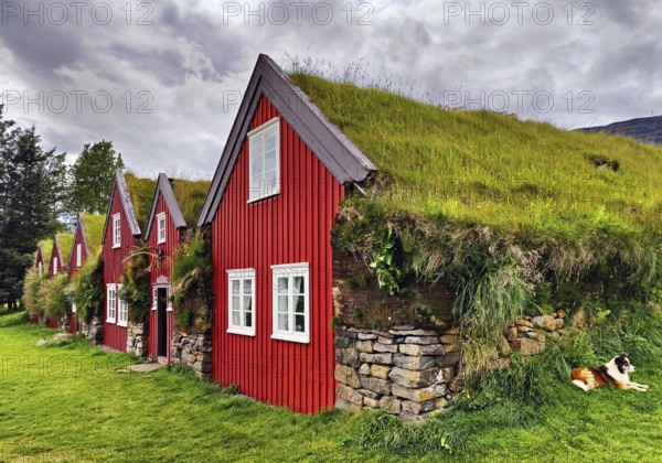 Bustarfell, a former peat farm, now a museum, East Iceland, Iceland