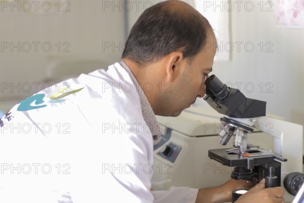 A laboratory technician analyzing blood samples using a microscope in a medical laboratory. Aleppo, Syria. September 8, 2016, Aleppo, Syria