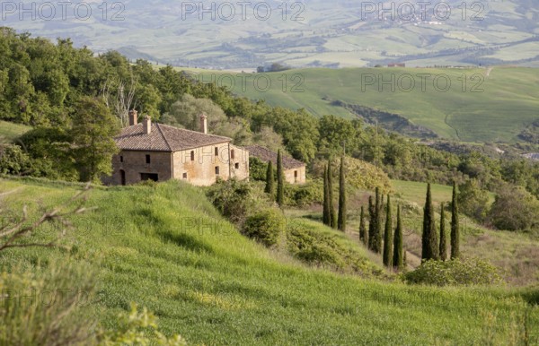 Farmhouse on a gentle hill with cypress trees, surrounded by lush green countryside and sweeping views, Tuscany, Italy