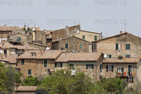 Houses with tiled roofs and antennas, surrounded by green vegetation, in a Mediterranean, rustic atmosphere, Montalcino, Tuscany, Province of Siena, Italy