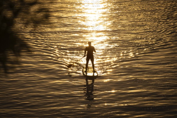 A paddler paddles on the Main in Frankfurt, Frankfurt am Main, Hesse, Germany