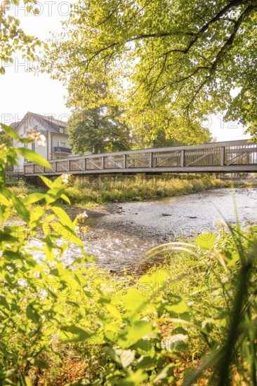 River with a bridge flanked by green trees on a sunny day, Nagold, district of Calw, Black Forest, Germany