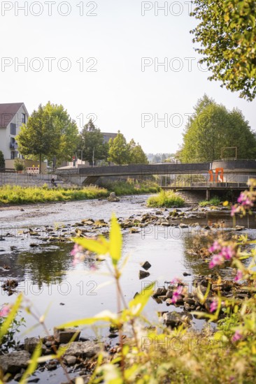 A quiet river with stones and flowers, flanked by a bridge and houses, Nagold, Calw district, Black Forest, Germany