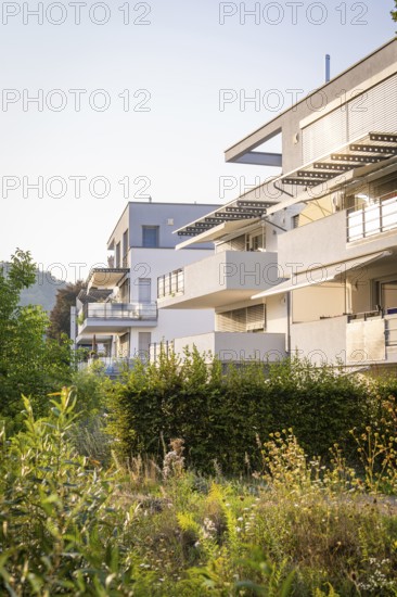 Modern residential building with balconies and surrounded by green plants under a clear sky, Nagold, district of Calw, Black Forest, Germany