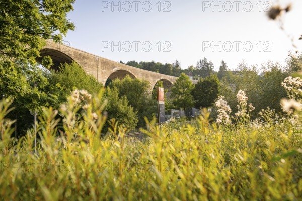 Dense vegetation with a stone bridge in the background under a clear sky, Nagold, district of Calw, Black Forest, Germany