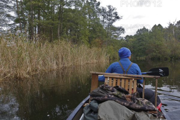 Müritz National Park, Mecklenburg-Western Pomerania, Germany