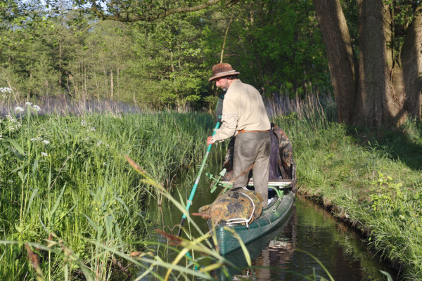 Canoeist standing in a canoe, Müritz National Park, Mecklenburg-Western Pomerania, Germany