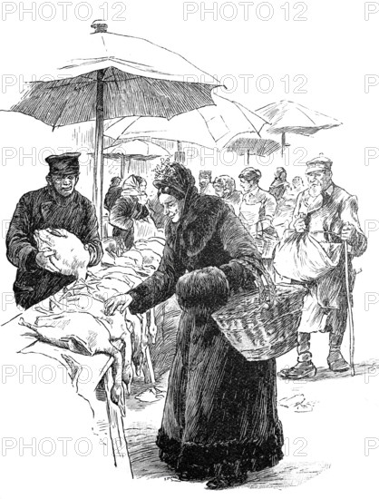 Christmas, Christmas dinner, woman buying Christmas goose at a market stall, feast, poultry, around 1880, Berlin, Germany, Historical, authentic, digitally restored reproduction from a 19th century original, Record date not stated