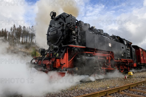 View of steam locomotive steam locomotive of Harz narrow-gauge railway narrow-gauge railway Brockenbahn runs as a passenger train with attached passenger wagons railway wagons towards the summit of Brocken lets off steam steam cloud comes out of chimney of steam locomotive, Schierke, Wernigerode in the Harz Mountains, Saxony-Anhalt, Germany