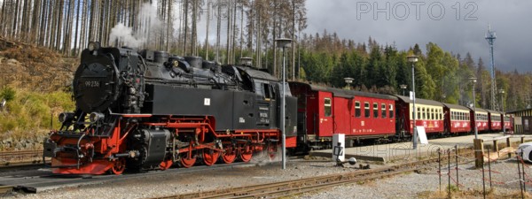 Panoramic photo View of steam locomotive Steam locomotive of Harz narrow-gauge railway Narrow-gauge railway Brockenbahn runs as a passenger train with attached passenger carriages Railway carriages from Schierke station towards the summit of Brocken, Schierke, Wernigerode in the Harz Mountains, Saxony-Anhalt, Germany