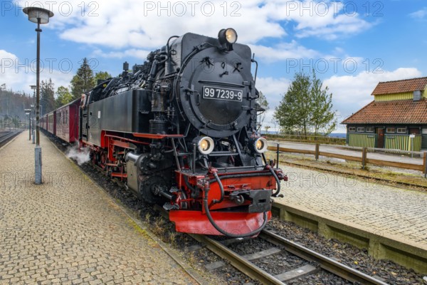 View of steam locomotive steam locomotive of Harz narrow-gauge railway narrow-gauge railway Brockenbahn standing on track towards the summit of Brocken on platform of Schierke station, behind it coupled iron wagons passenger wagons, Schierke, Wernigerode im Harz, Saxony-Anhalt, Germany