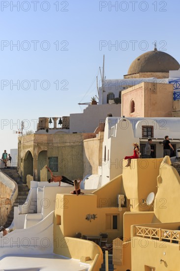 Tourists pose on colourfully painted houses on the hillside, picturesque village of Oia, Thira, Santorini, Cyclades, Greece