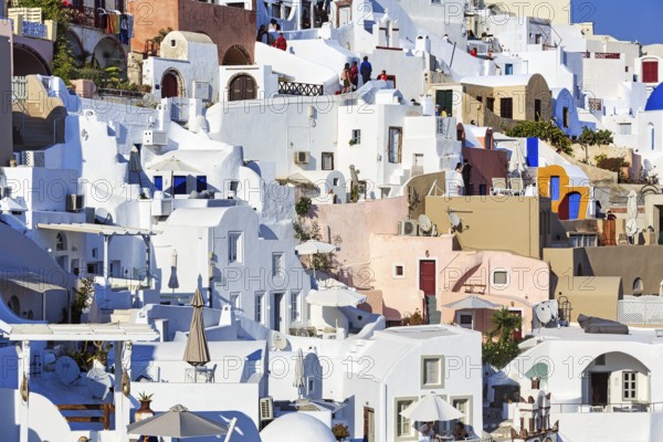 White and colourfully painted holiday homes on a steep slope, narrow alleys, Oia, Thira, Santorini, Cyclades, Greece
