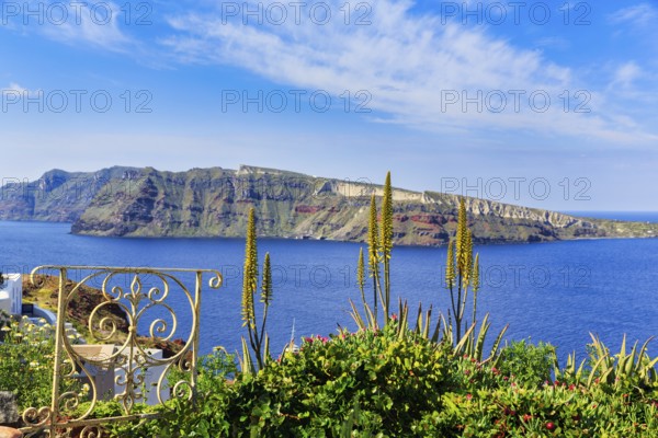 Wrought-iron railing, Mediterranean vegetation, view of the caldera and the island of Nea Kameni, Cirrus, Oia, Thira, Santorini, Cyclades, Greece