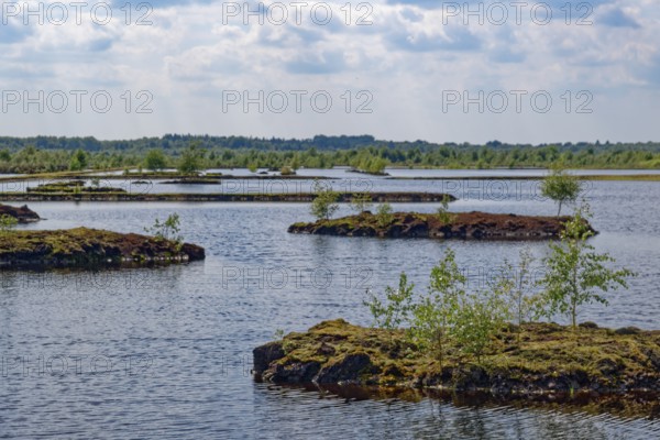 Peat islands in the water areas of Himmelmoor. Himmelmoor, the largest raised bog in Schleswig-Holstein, has been largely renaturalised and rewetted and is part of the European Natura 2000 protected area. Quickborn, Pinneberg district, Schleswig-Holstein, Germany