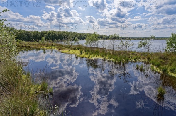 Clouds are reflected in the water surface of the Himmelmoor. Himmelmoor, the largest raised bog in Schleswig-Holstein, has been largely renaturalised and rewetted and is part of the European Natura 2000 protected area. Quickborn, Pinneberg district, Schleswig-Holstein, Germany