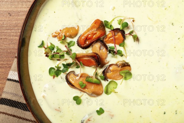 Creamy soup with mussels, mussels without shells, American cuisine, homemade, no people