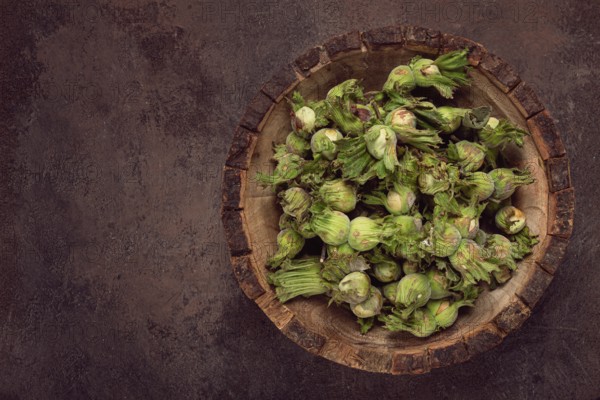 Fresh, green hazelnuts, close-up, in a wooden bowl, unpeeled, top view, no people