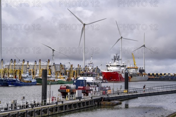 Working vessels in the seaport of Eemshaven, dredger Vitus Bering, aft, cable laying and offshore supply and working vessel Seaway Aimery, fishing boats, trawlers, Netherlands