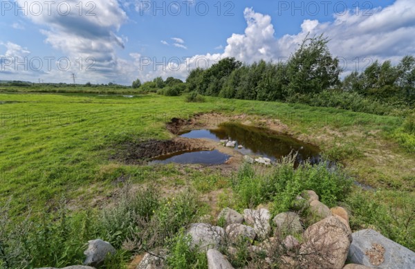 Landscape in the Wildes Moor nature reserve. The moor, an area in the district of Rendsburg-Eckernförde, has been renaturalised over an area of 175 hectares. Osterrönfeld, Schleswig-Holstein, Germany