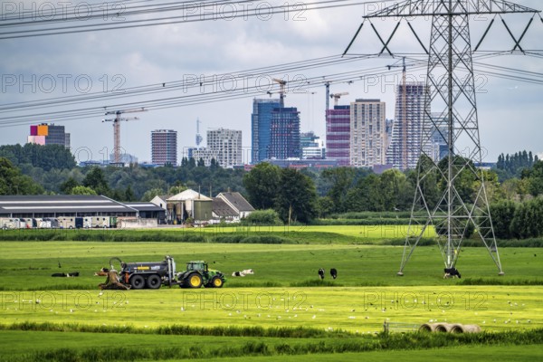 The skyline of the business district in the south-east of Amsterdam, office tower blocks, green landscape in front, cattle pasture, agriculture, high-voltage power line, seen from the Amsterdam-Rijn canal, near Nigtevecht, Netherlands