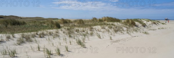 Dune landscape, sandy beach, panorama format, Sankt Peter Ording, Eiderstedt, North Frisia, North Sea, Schleswig-Holstein, Germany