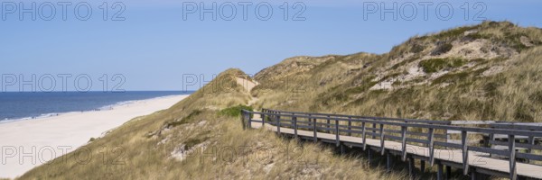 Wooden walkway through the dune, panorama format, Kampen, Sylt, North Frisia, Schleswig-Holstein, Germany