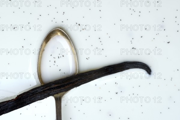 Spoon with vanilla pod, vanilla seeds in milk