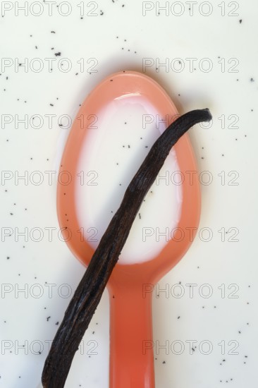 Spoon with vanilla pod, vanilla seeds in milk