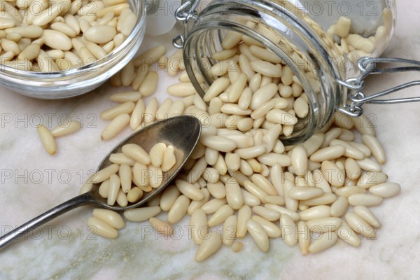 Pine nuts in glass container and spoon, Pinus pinea