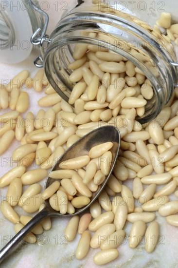 Pine nuts in glass container and spoon, Pinus pinea