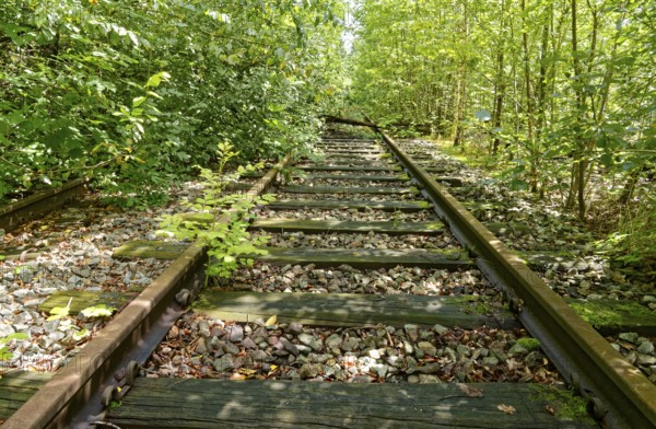 Rusty, overgrown tracks at the former Blumendorf railway station. Bad Oldesloe, Schleswig-Holstein, Germany