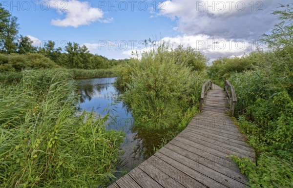 Footpath and bridge on the River Trave in Brenner Moor. The Brenner Moor is a salt moor, FFH area, in the Trave lowlands near Bad Oldesloe. Schleswig-Holstein, Germany
