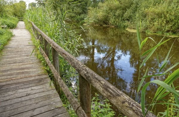 Footpath with wooden railings along the River Trave in Brenner Moor. The Brenner Moor is a salt moor, FFH area, in the Trave lowlands near Bad Oldesloe. Schleswig-Holstein, Germany