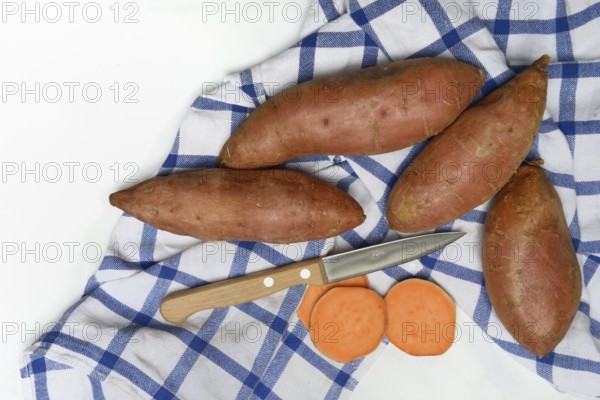 Sweet potatoes with kitchen knife on kitchen towel, Ipomoea batatas