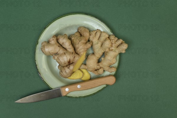 Ginger tubers and ginger slices on plate with knife, Zingiber officinale