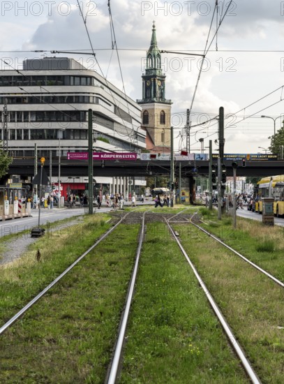 Tram bed at Alexanderplatz with St. Mary's Church in the background, Berlin, Germany