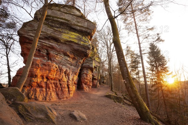 Glowing rocks in warm evening light in spring at Altschloßfelsen in der Pfalz, Germany