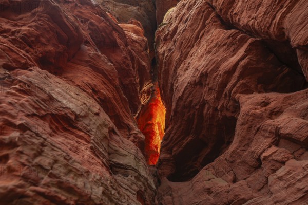 Evening rock glowing in spring at Altschloßfelsen in Eppenbrunn Palatinate, Germany