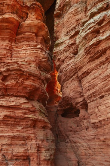 Evening rock glowing in spring at Altschloßfelsen in Eppenbrunn Palatinate, Germany