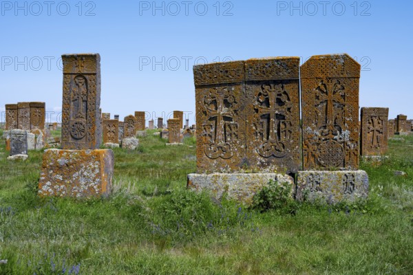 Tombstones with complex designs and orange weathering in a meadow, crossstones, khachkars, world's largest khachkar field, Noratus cemetery, Noradus, Gegharkunik province, Armenia