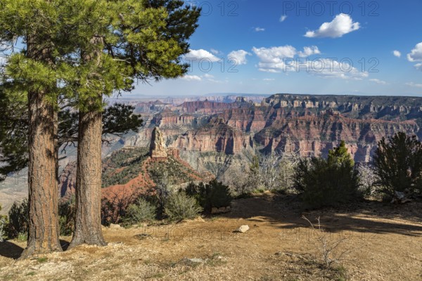 North Rim of the Grand Canyon in Northern Arizona, USA