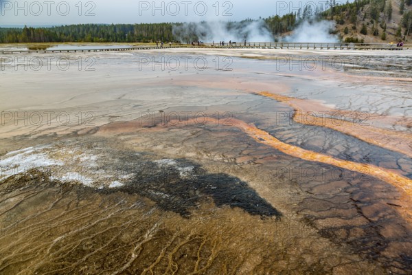 180819_371 Brown layered stratiform mats at the outer perimeter of the Grand Prismatic Spring in the Midway Geyser Basin of Yellowstone National Park, Wyoming