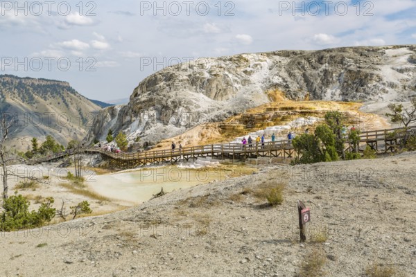 180822_165 Boardwalk allows park visitors to get close to the geologic features of Mound Spring the Mammoth Hot Springs area of Yellowstone National Park, Wyoming