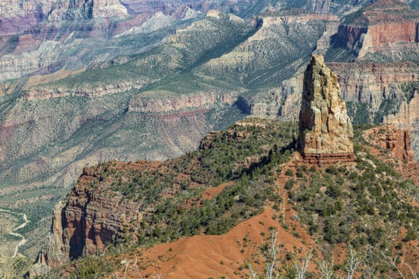 190601_130 North Rim of the Grand Canyon in Northern Arizona, USA