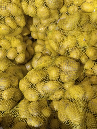 Winter potatoes on the net Plastic net on display by retail grocer, Germany